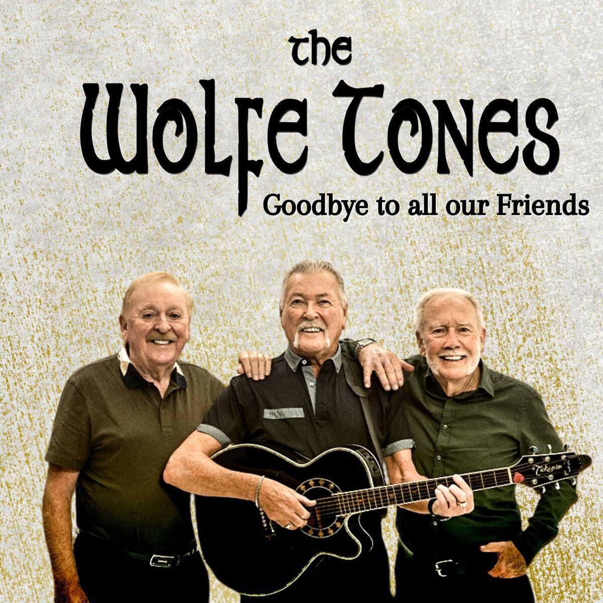 Album cover of Goodbye to All Our Friends