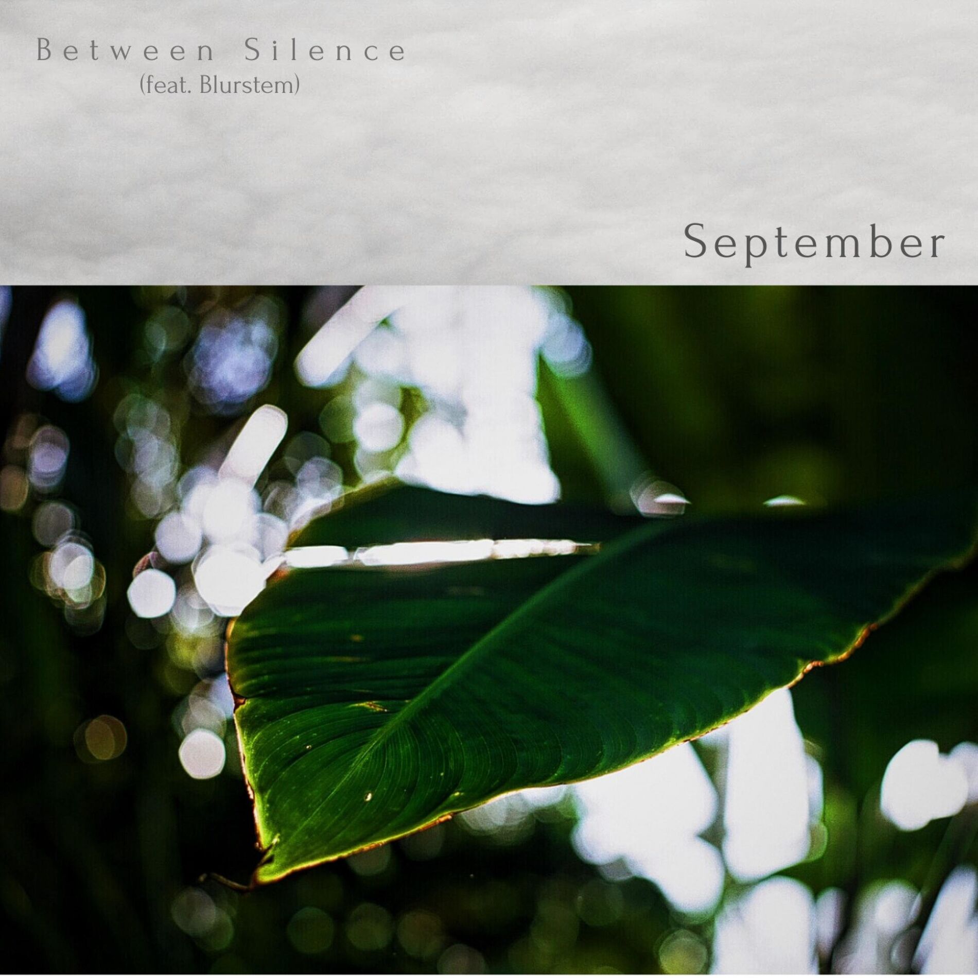 Album cover of September (feat. Blurstem)