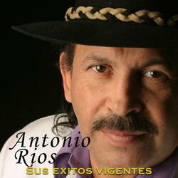Cover of Sus Exitos Vigentes