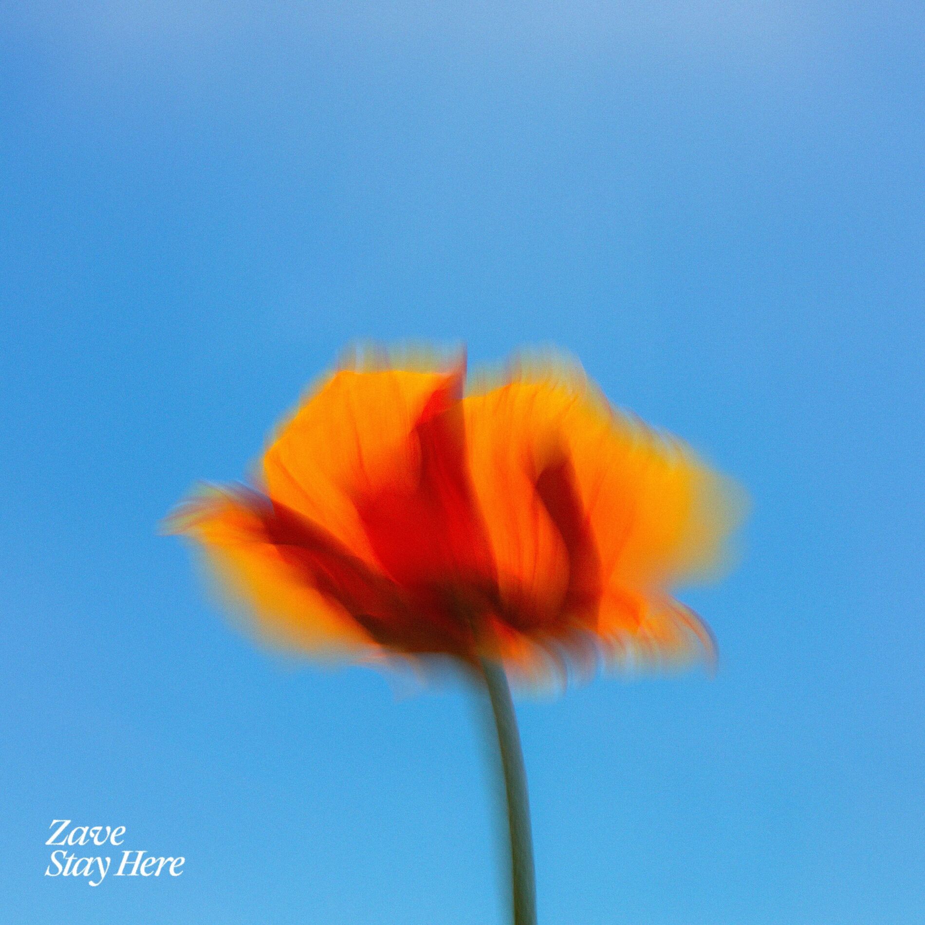 Album cover of Stay Here