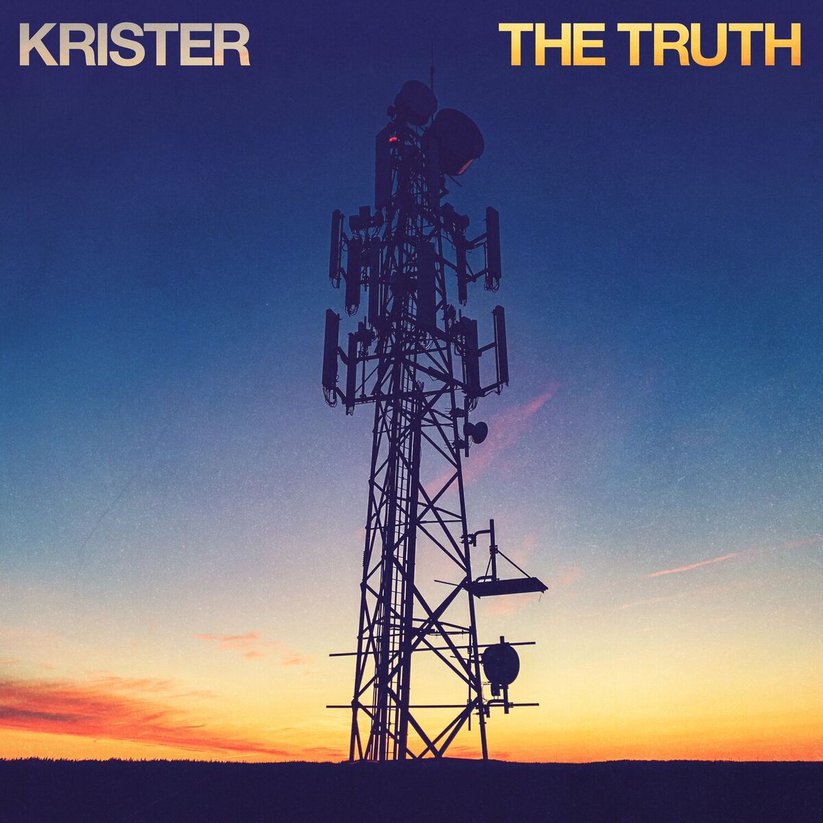 Album cover of The Truth