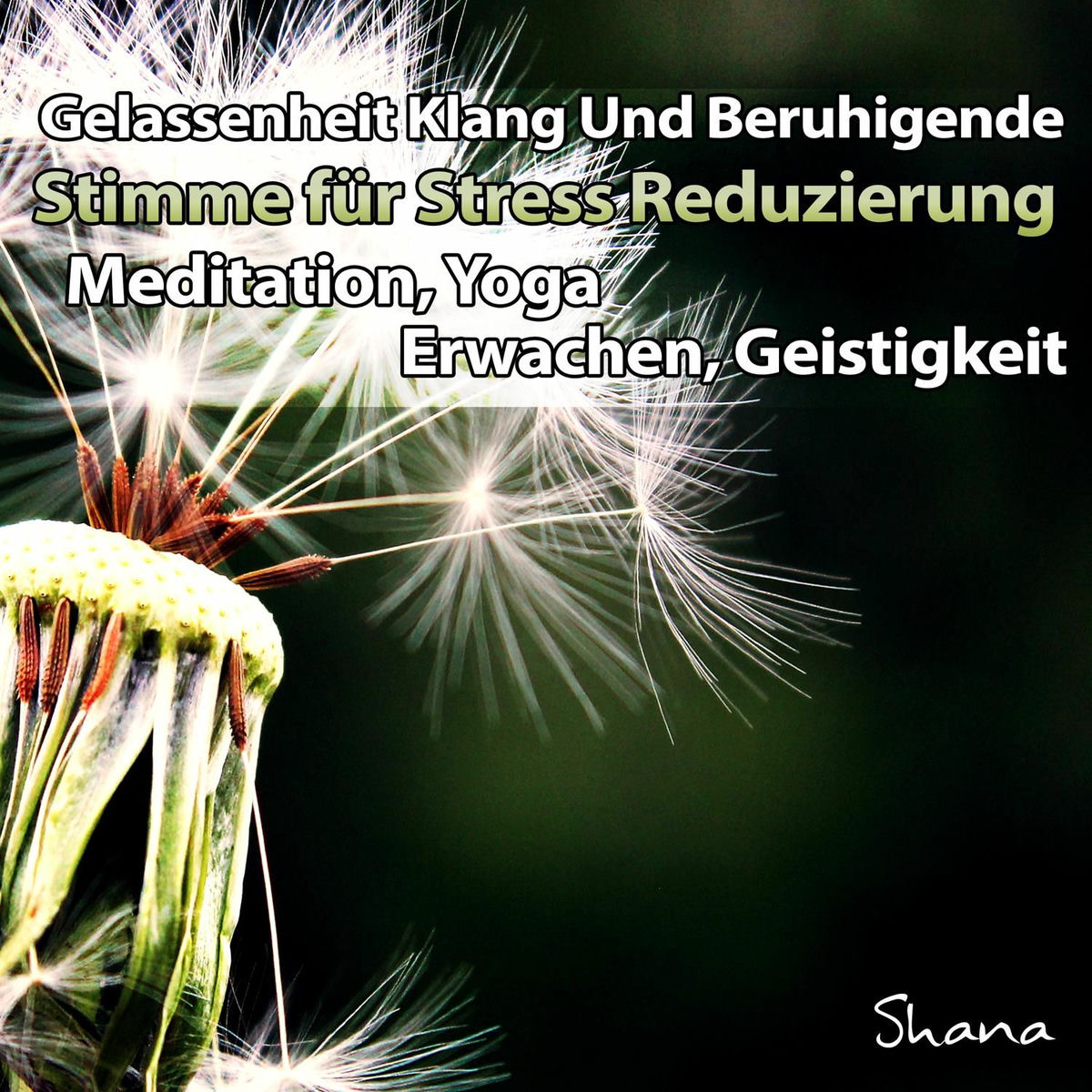 Album cover of Gelassenheit Klang und beruhigende Stimme für Stress Reduzierung, Meditation, Yoga, Erwachen, Geistigkeit