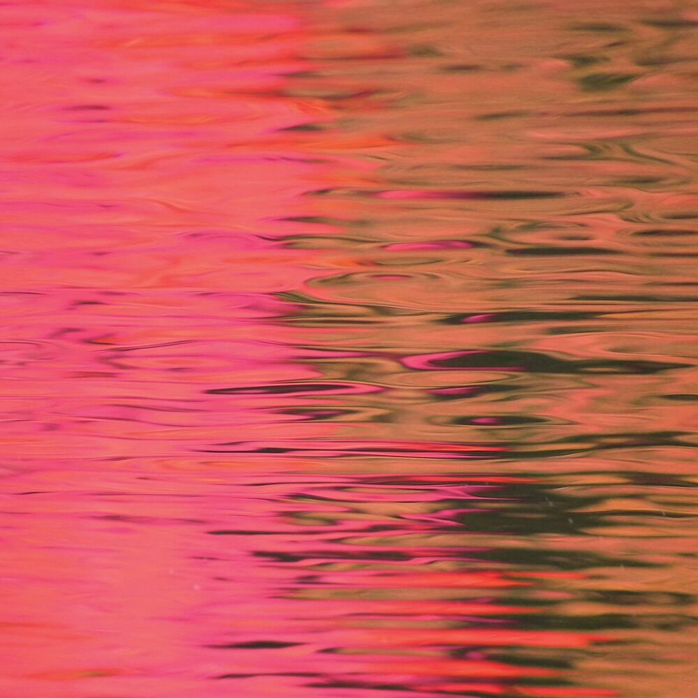 Picture of Dead Reflection