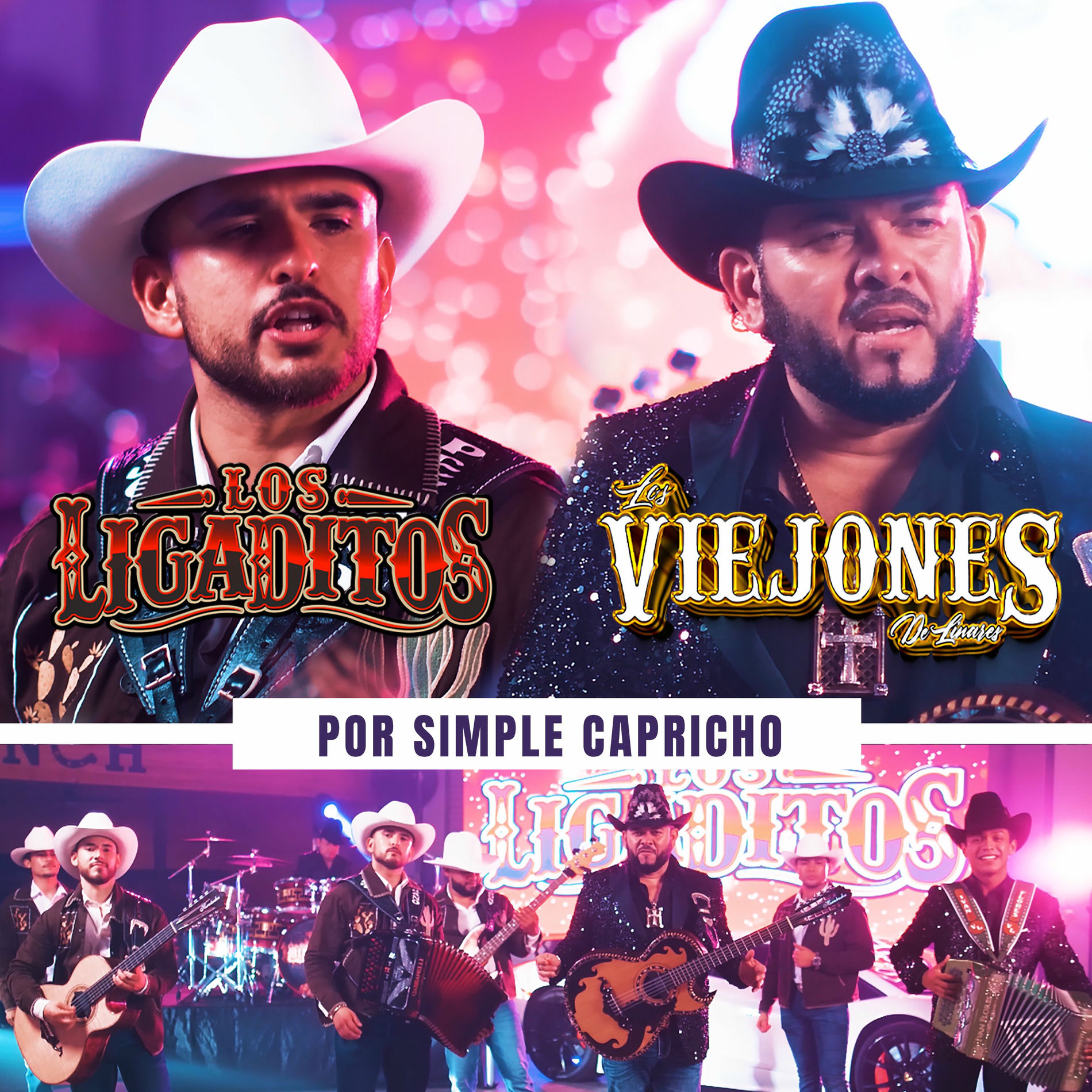 Album cover of Por Simple Capricho