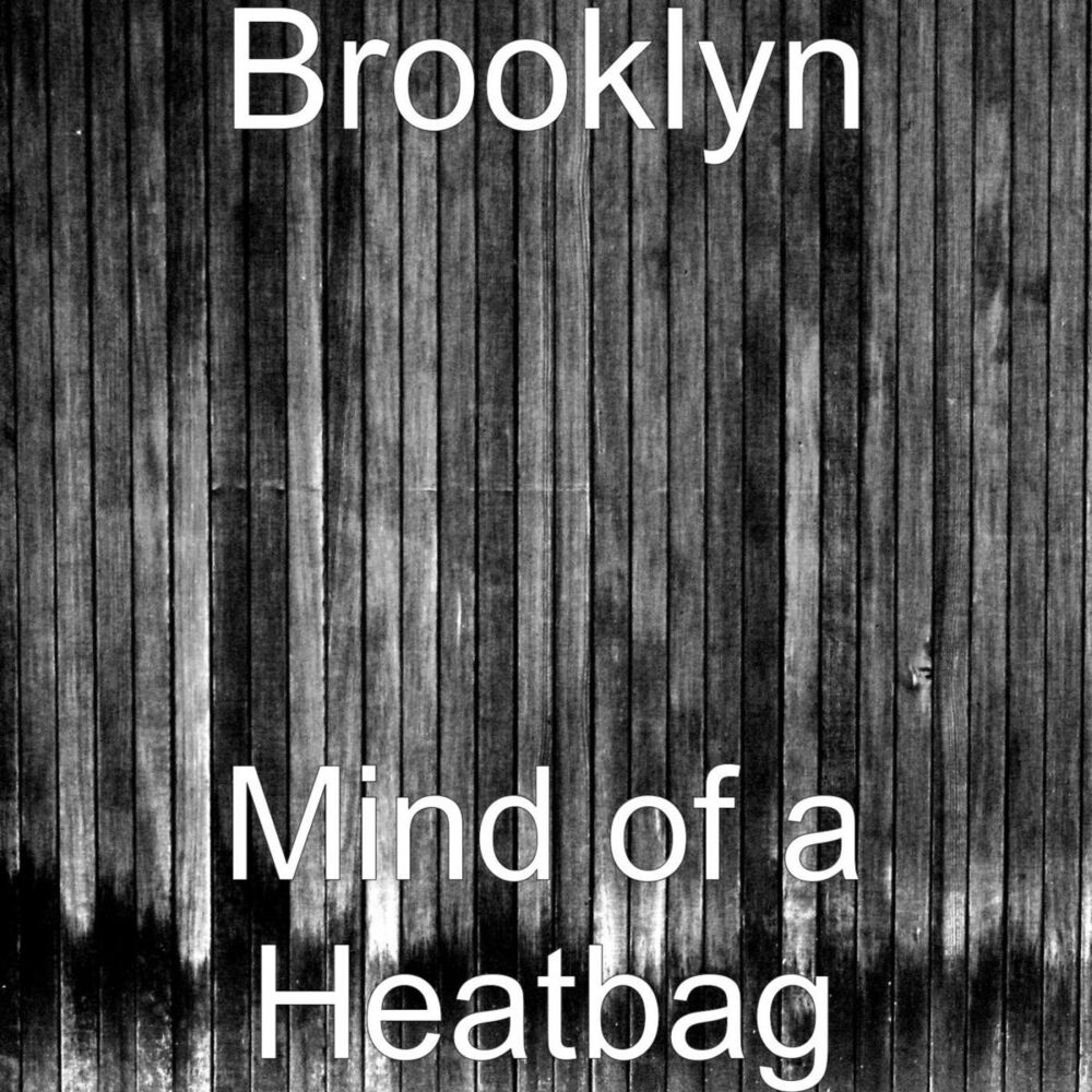 Picture of Mind of a Heatbag