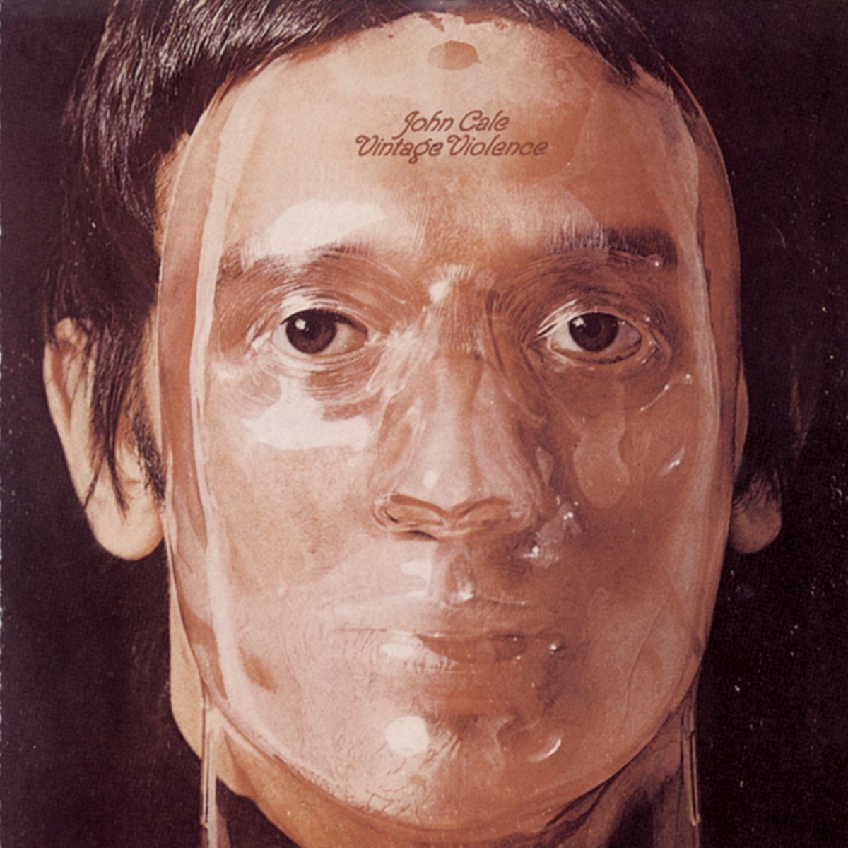 Album cover of Vintage Violence