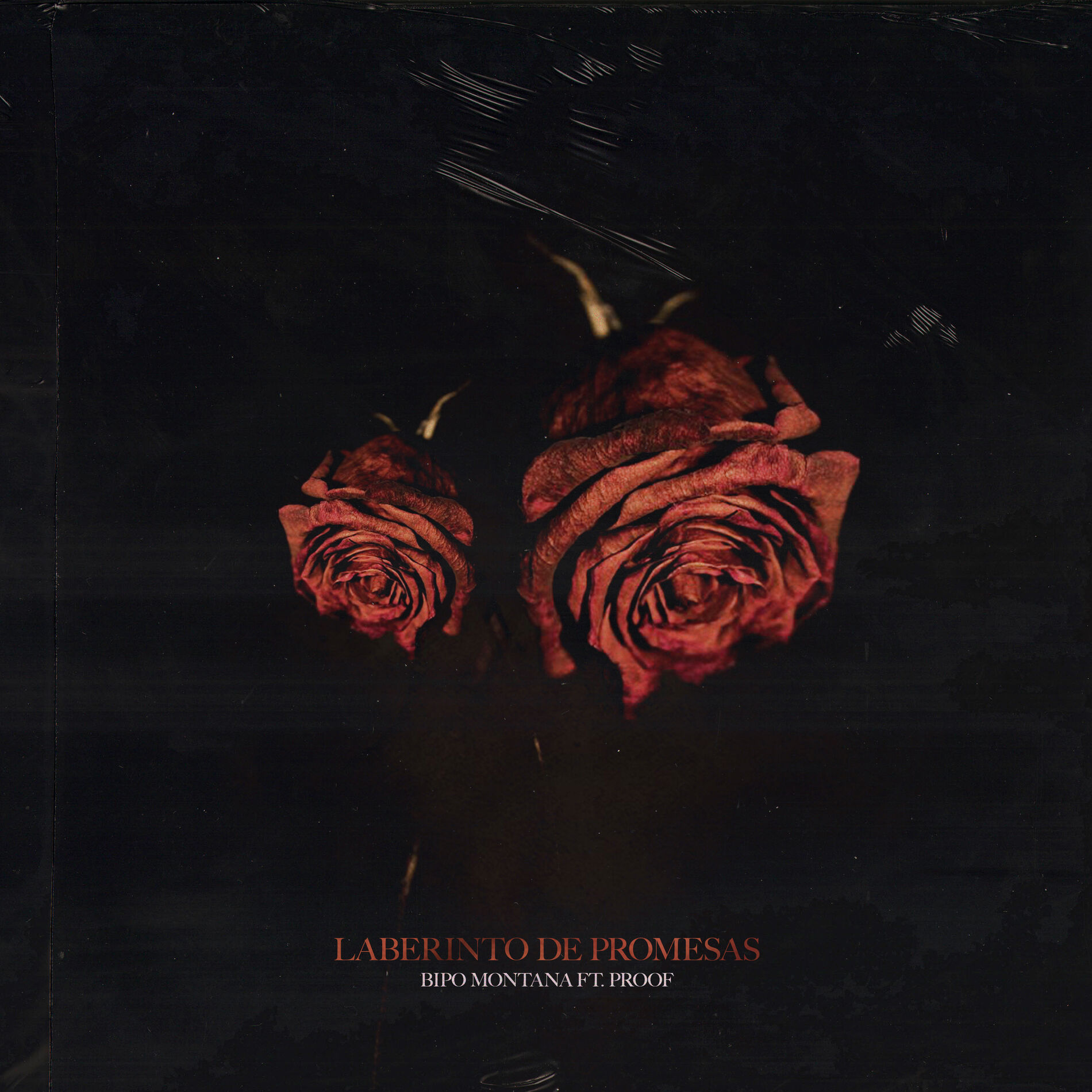 Album cover of Laberinto de Promesas