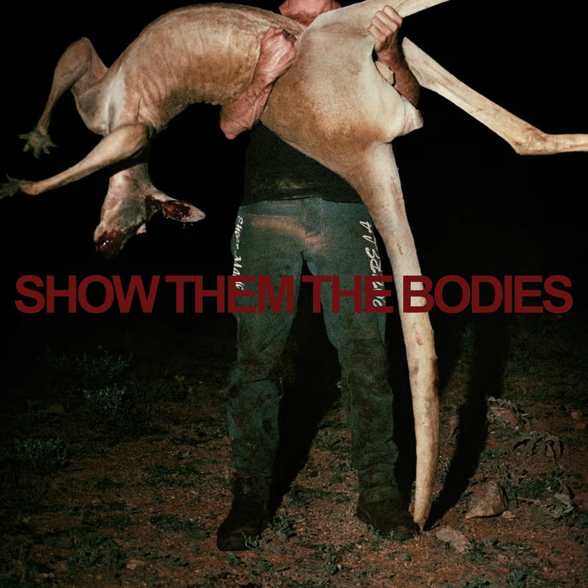 Album cover of Show Them The Bodies