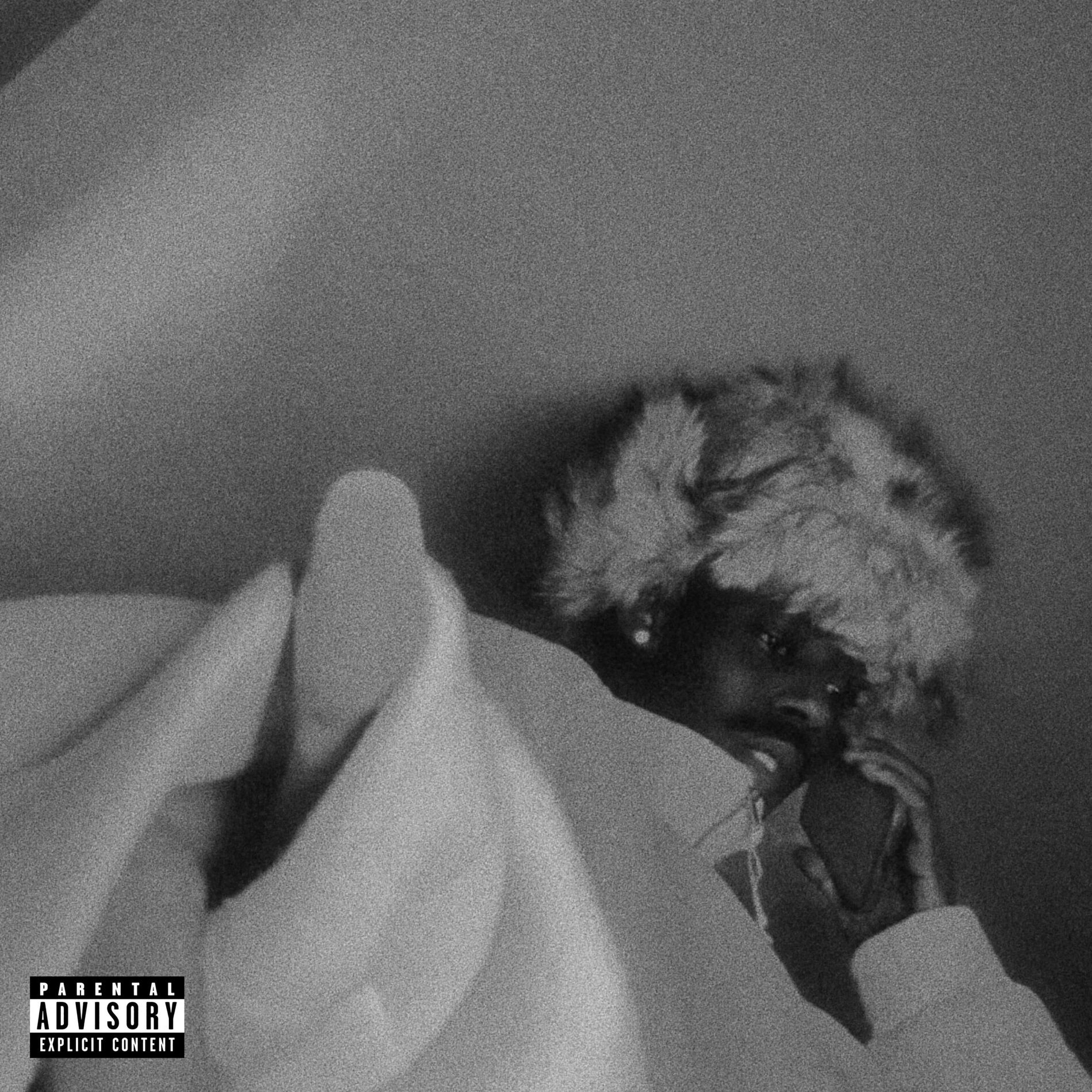 Album cover of À son désir