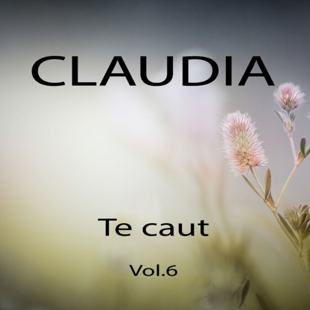 Picture of Te caut, Vol. 6
