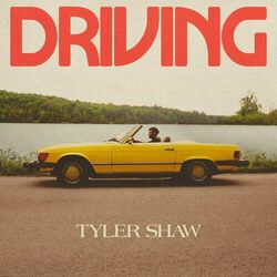Cover of Driving