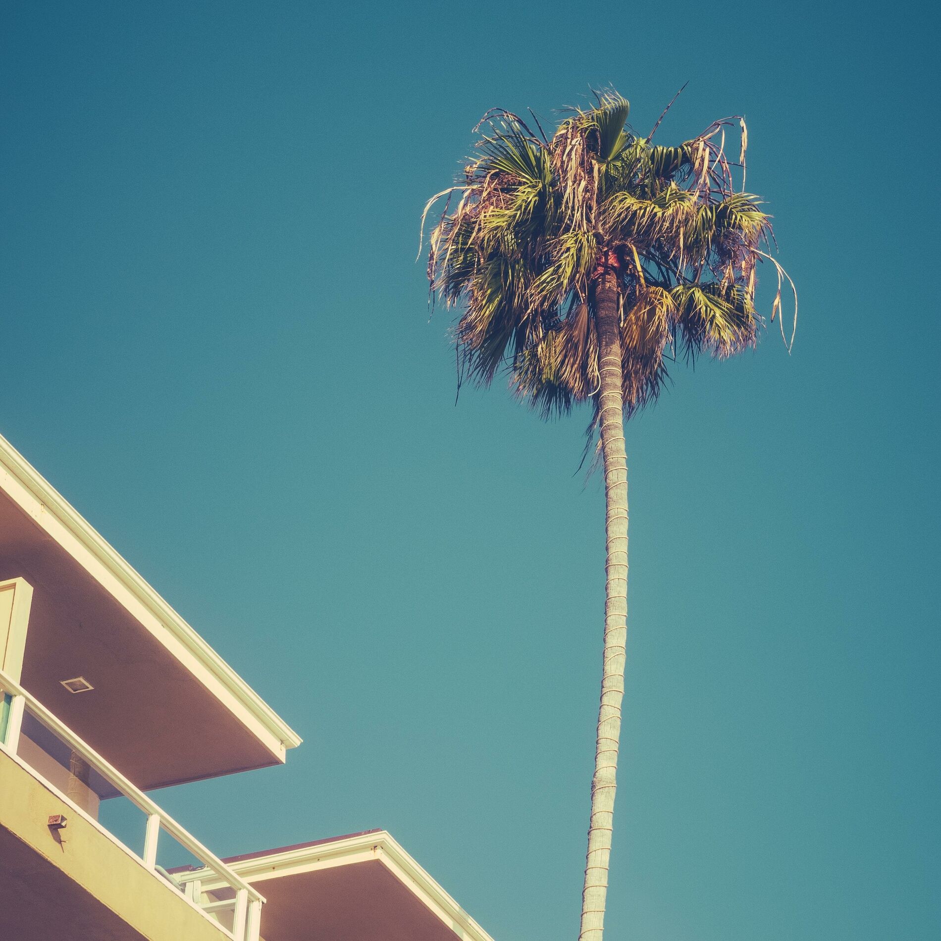 Album cover of Carefree Sunday