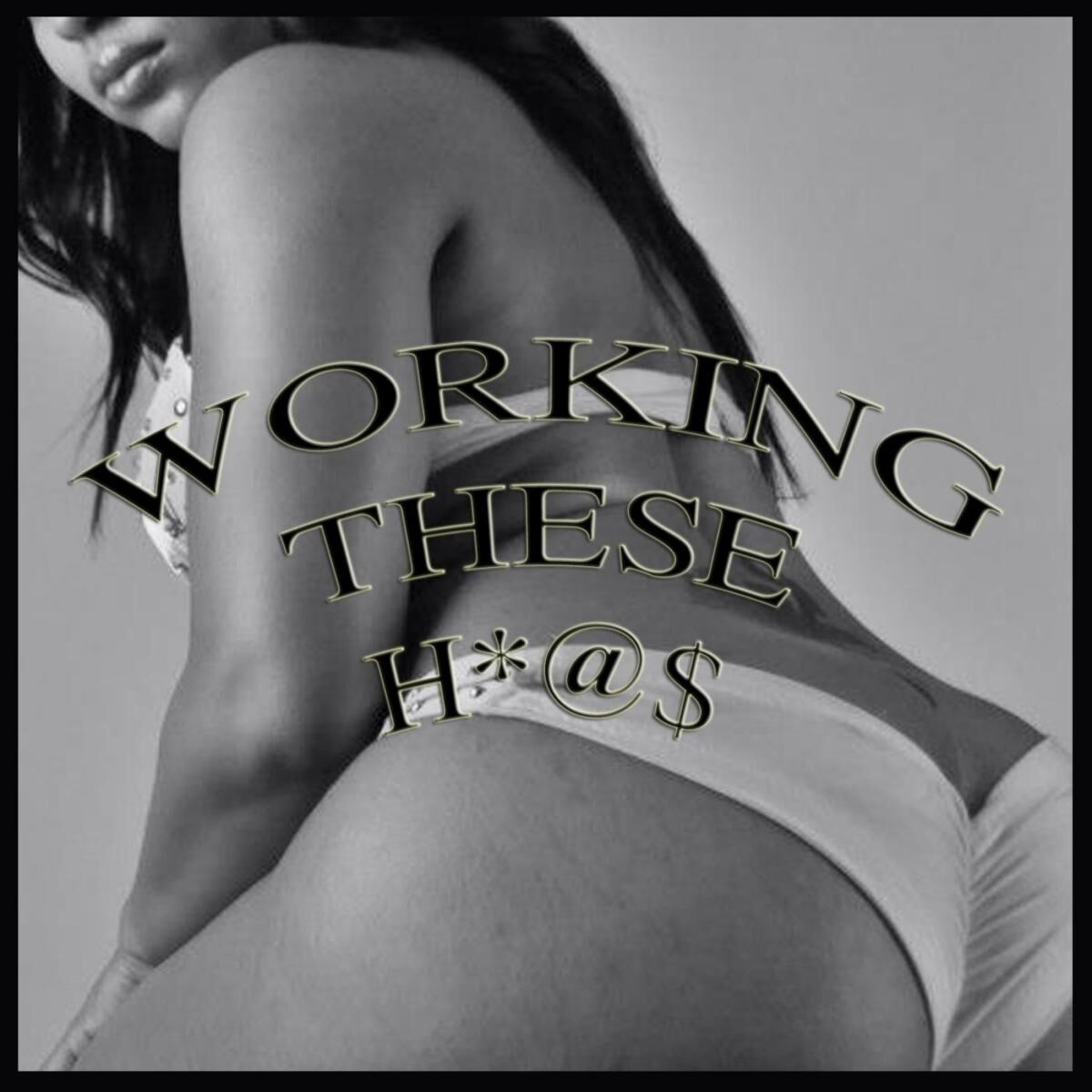 Album cover of Working These Hoes (feat. Big Poppa & Micheal Sterling)