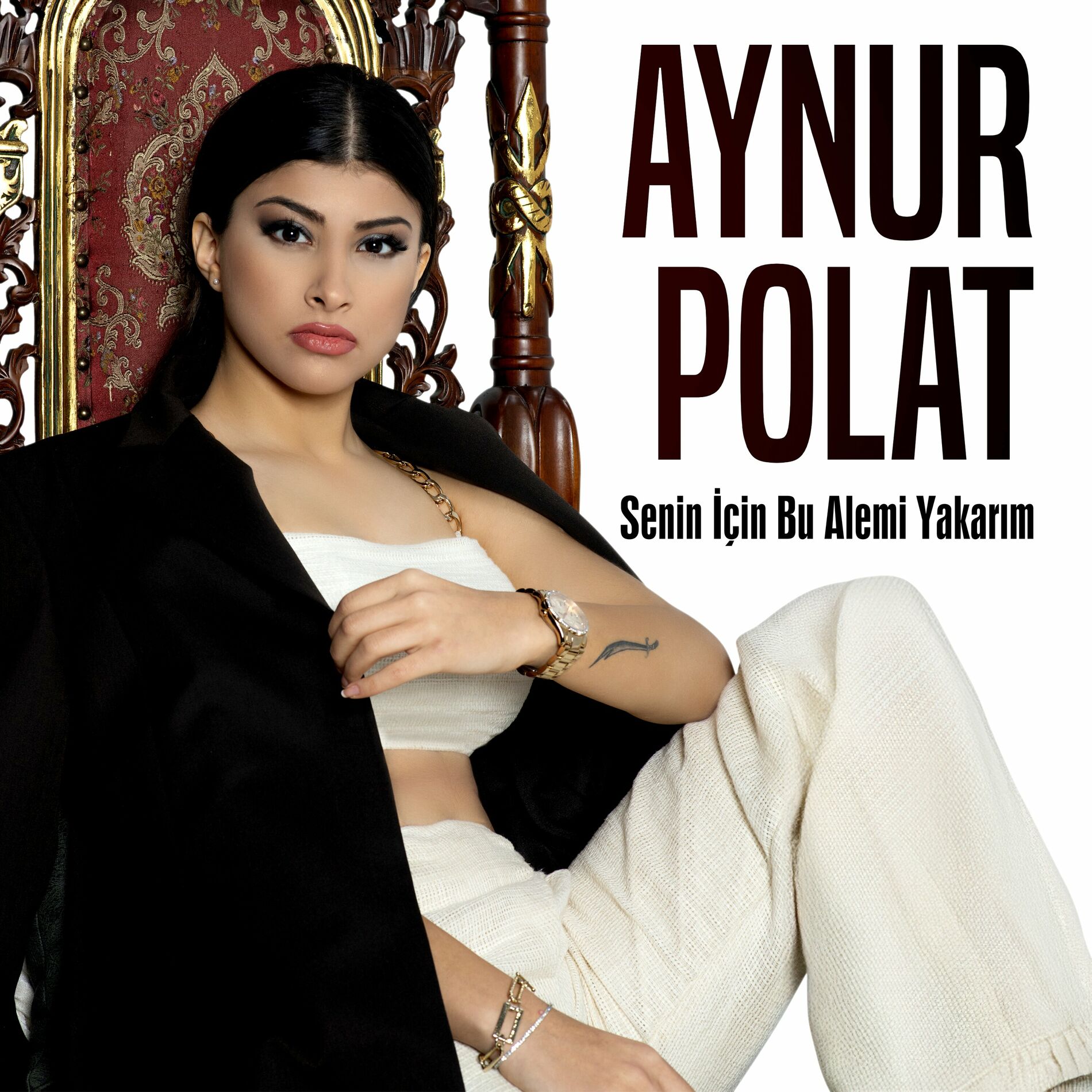 Album cover of Senin İçin Bu Alemi Yakarım