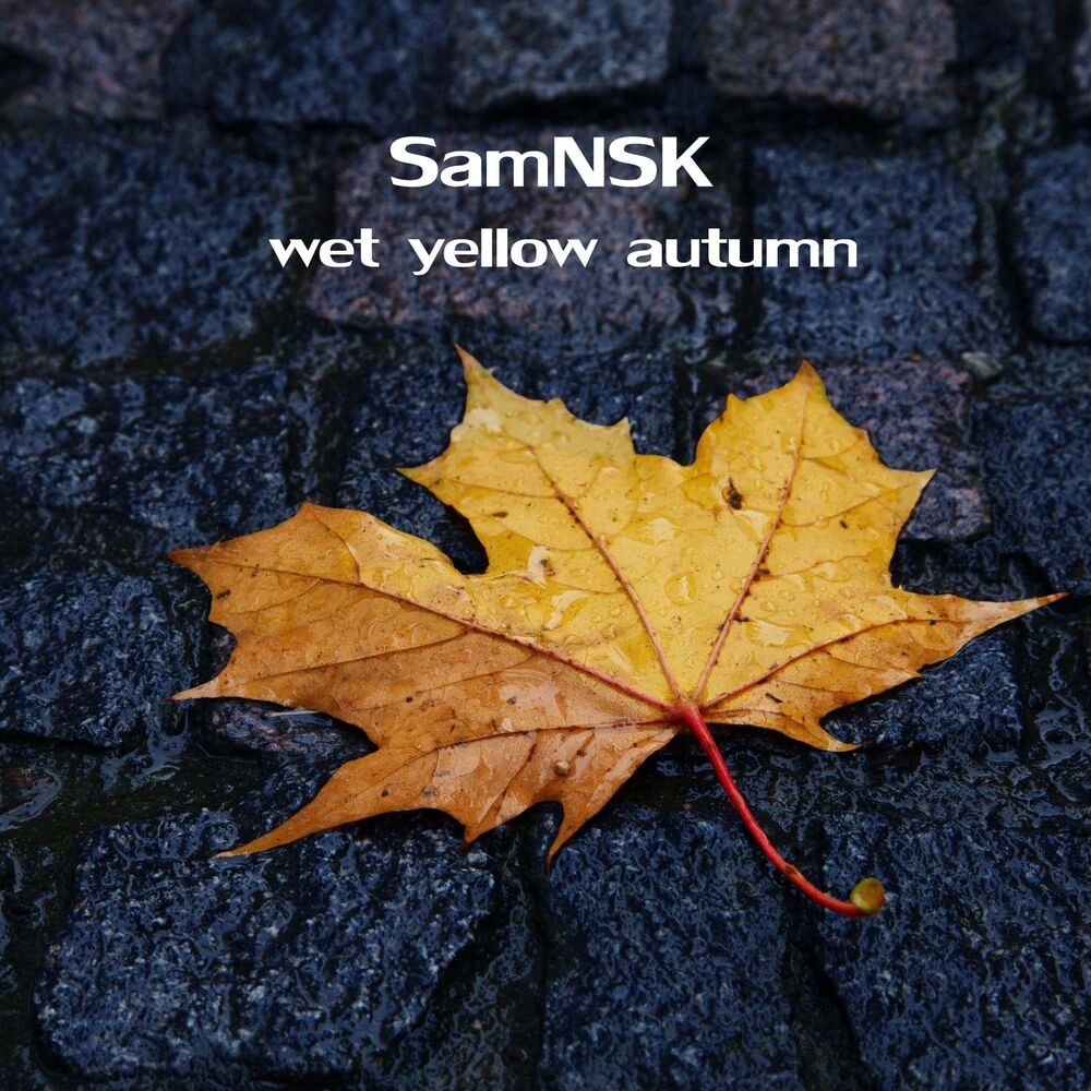 Picture of Wet Yellow Autumn