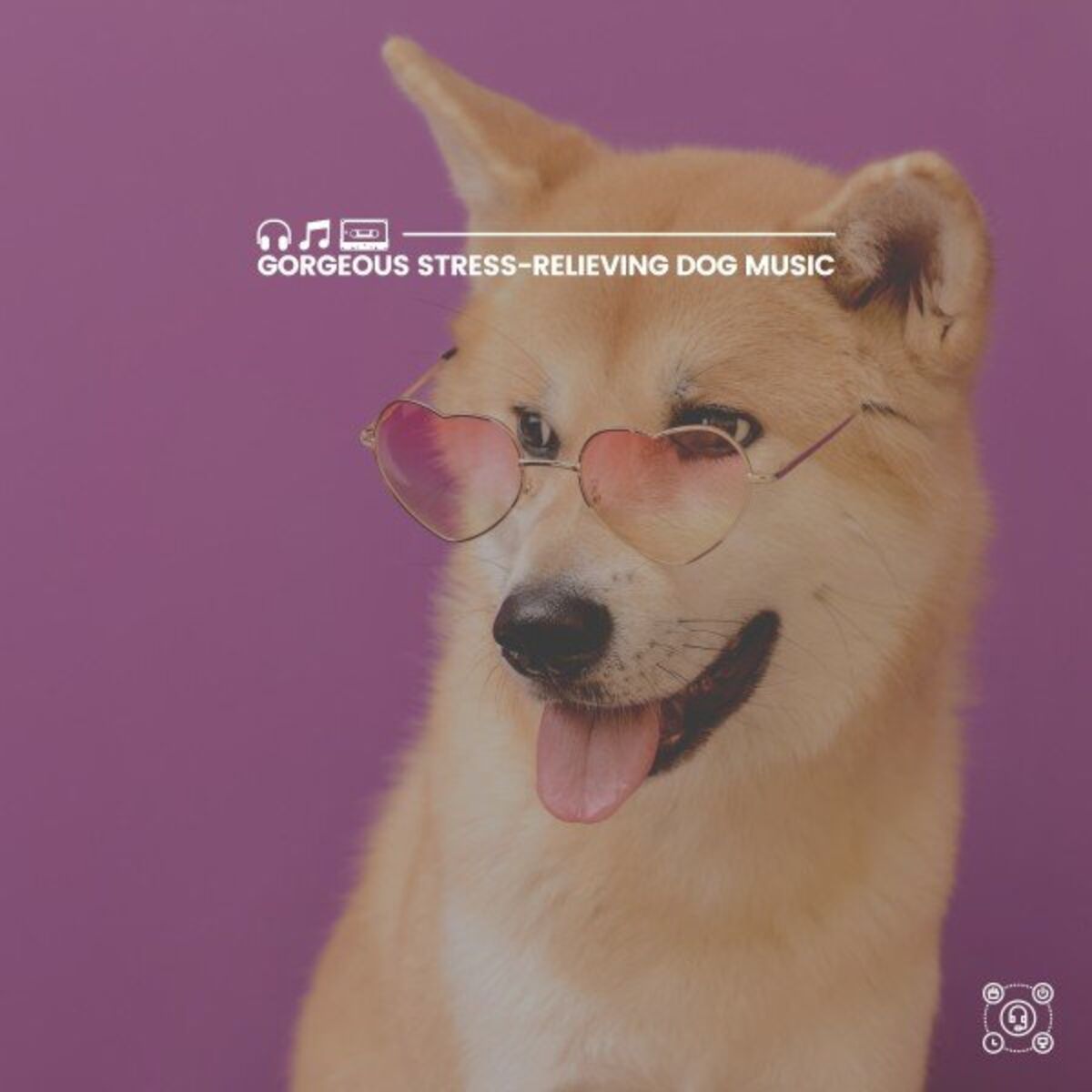 Album cover of Gorgeous Stress-Relieving Dog Music