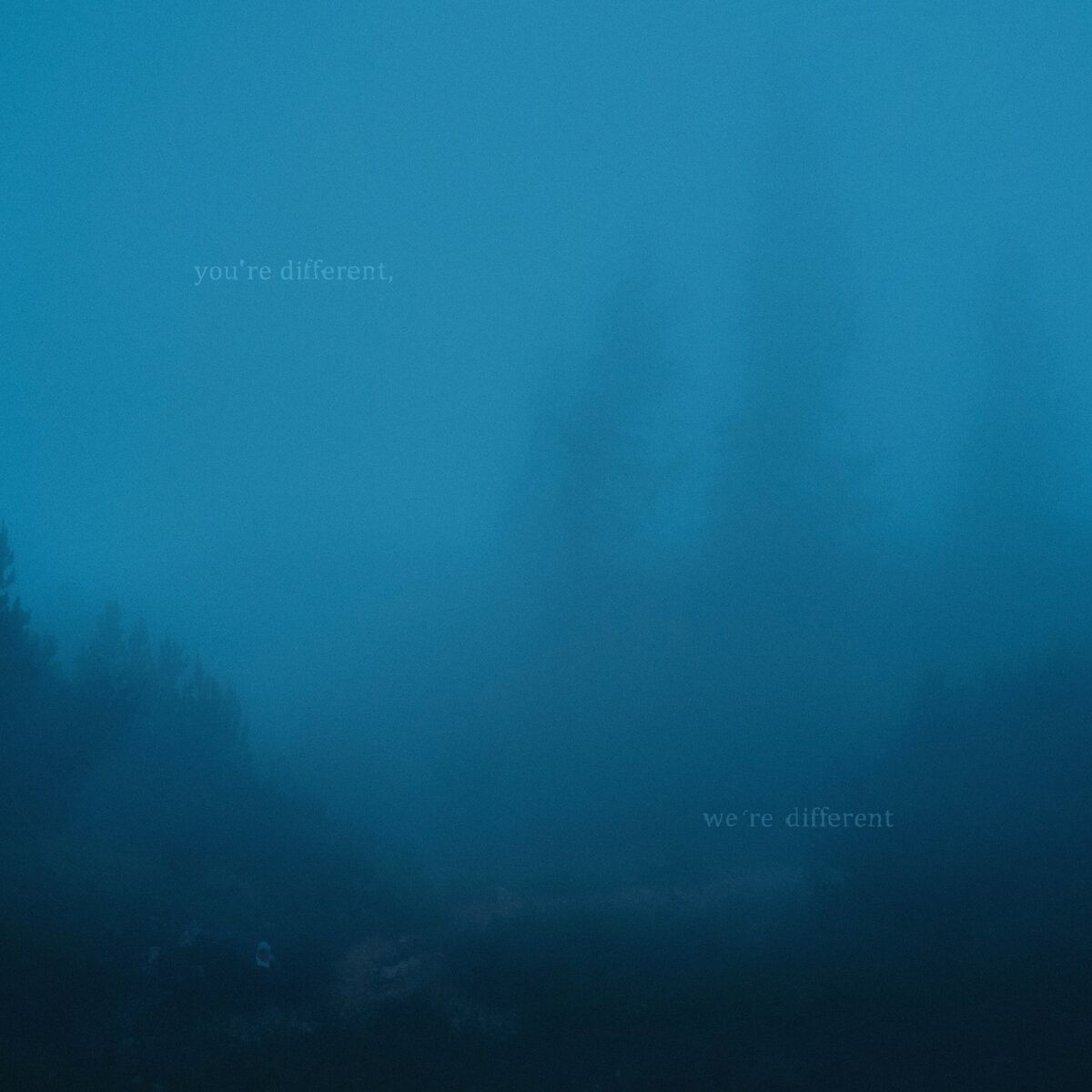 Album cover of you're different, we're different