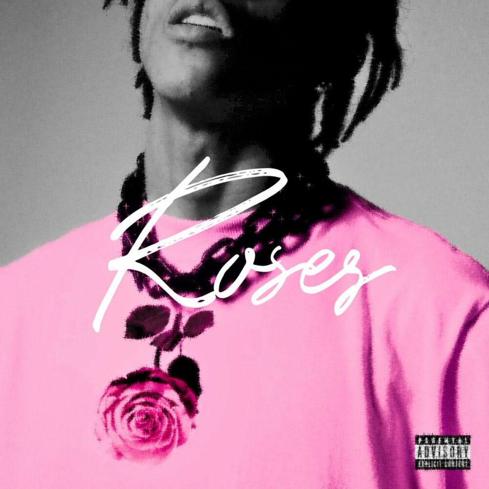 Picture of Roses