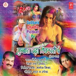 Cover of Gubbara Chada Pichkari Pe