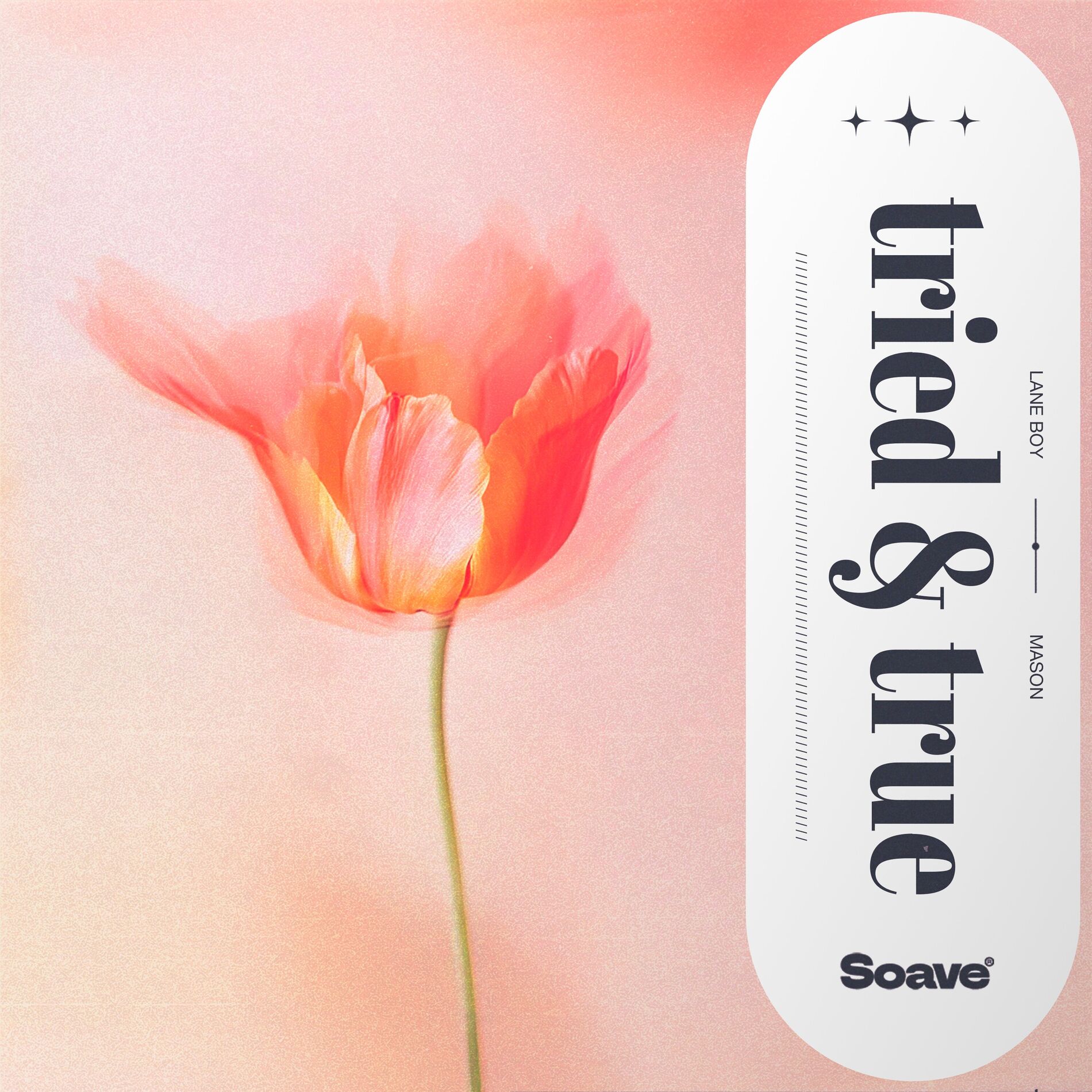 Album cover of Tried & True