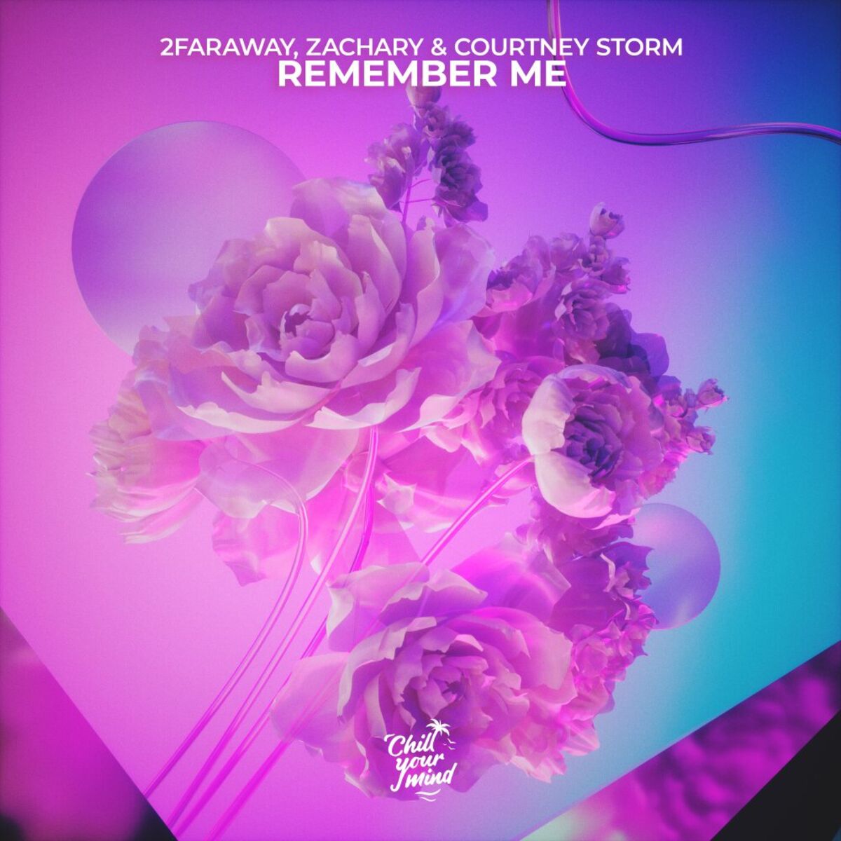 Album cover of Remember Me?