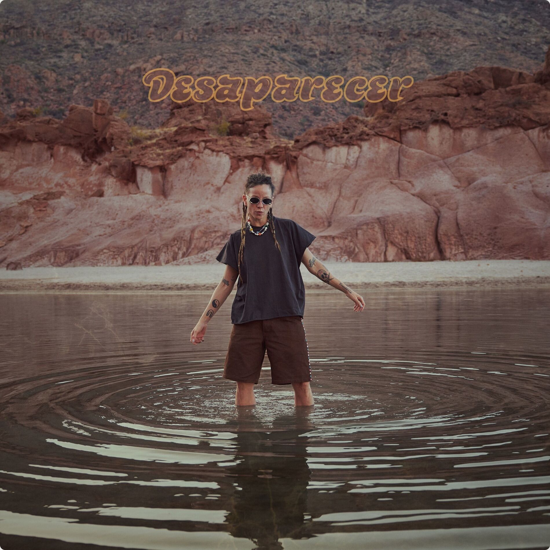 Album cover of Desaparecer
