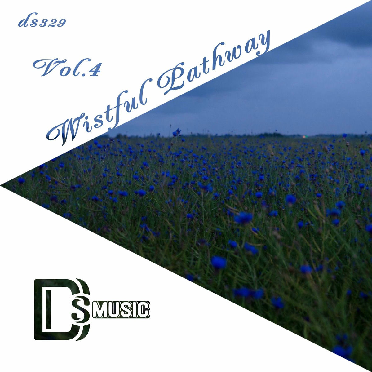 Album cover of Wistful Pathway, Vol. 4