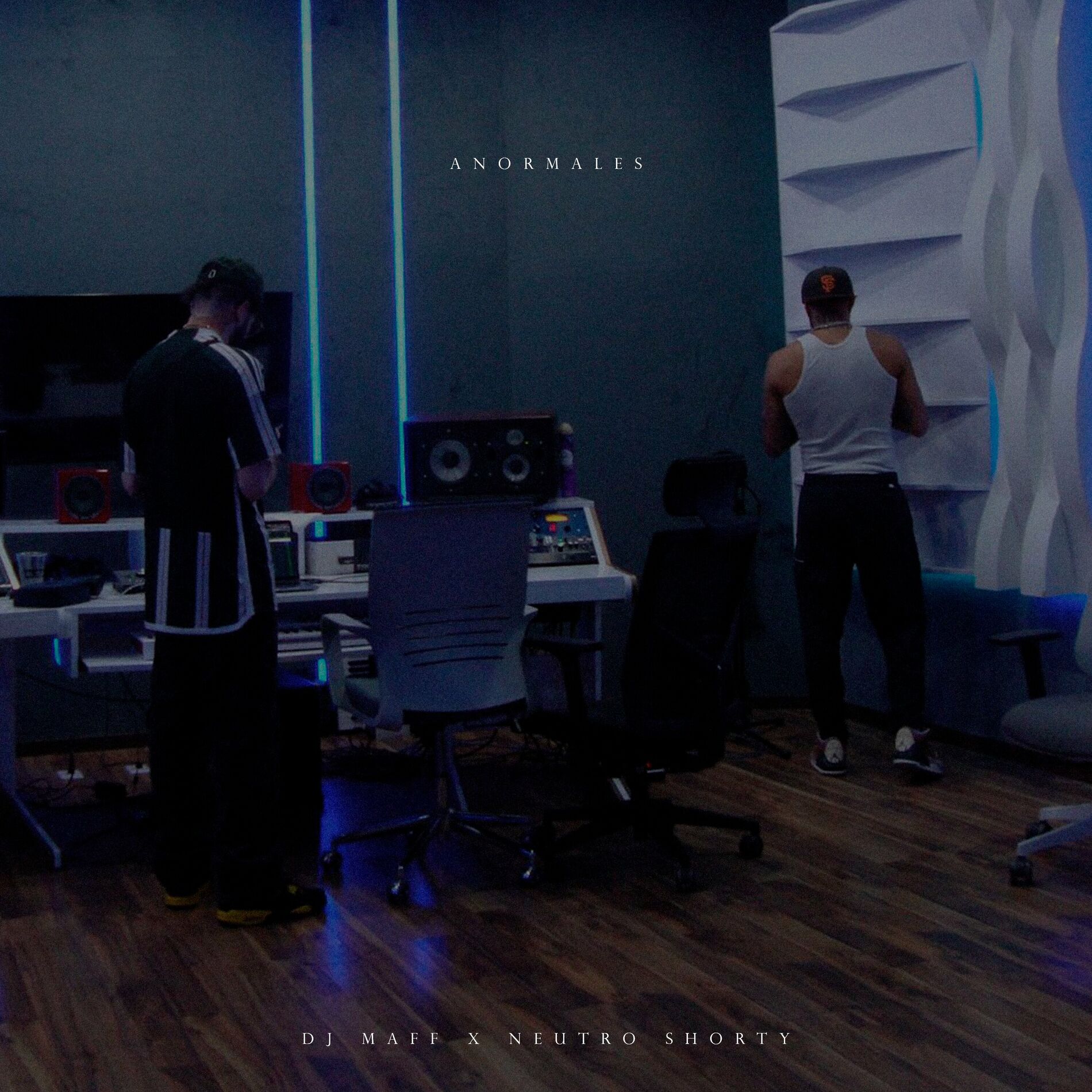 Album cover of Anormales