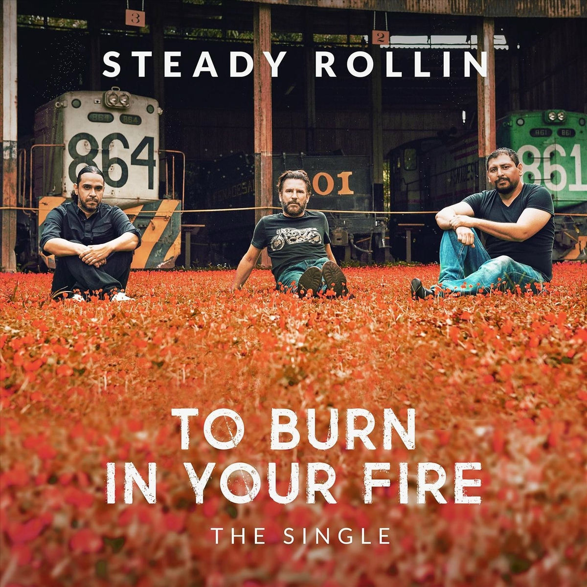Album cover of To Burn in Your Fire