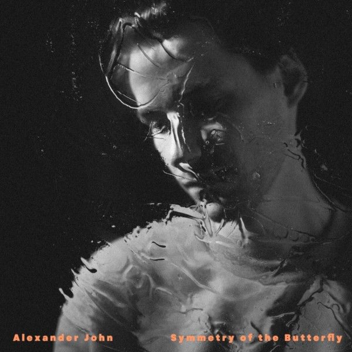 Album cover of Symmetry of the Butterfly