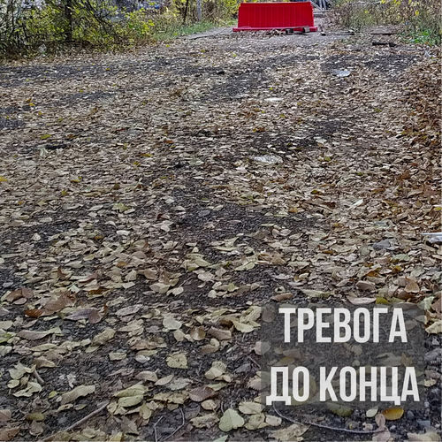 Тревога до конца