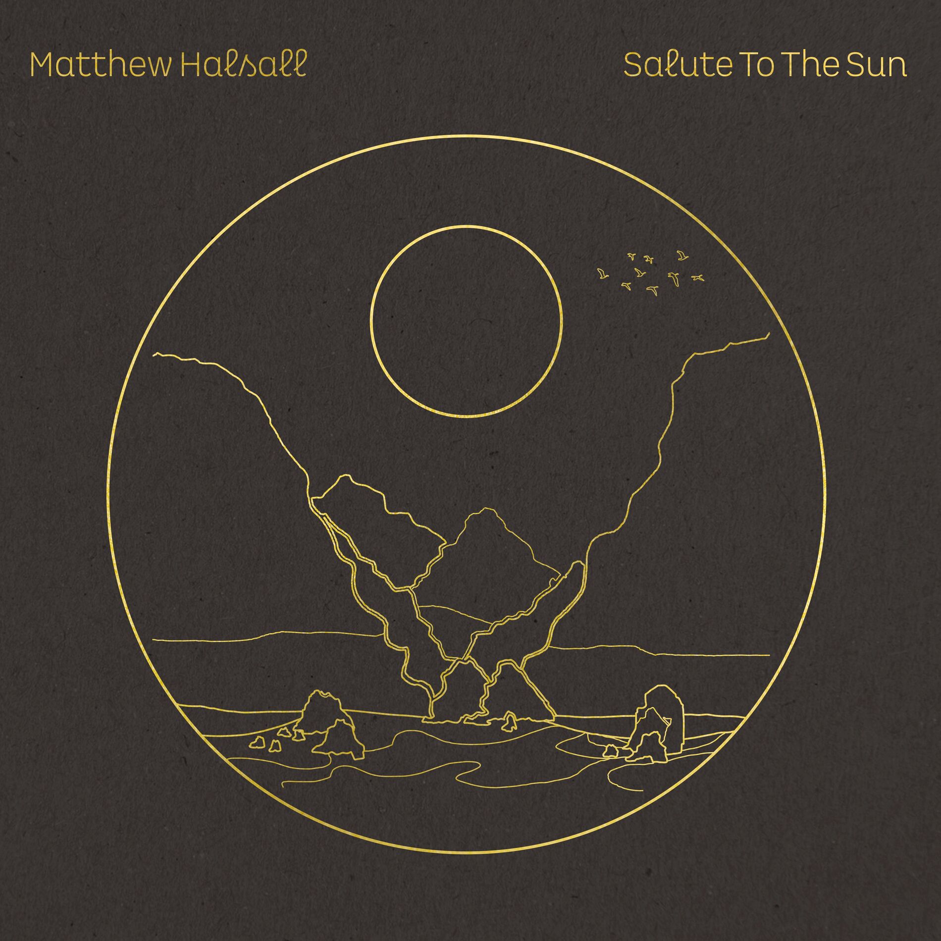 Album cover of Salute to the Sun