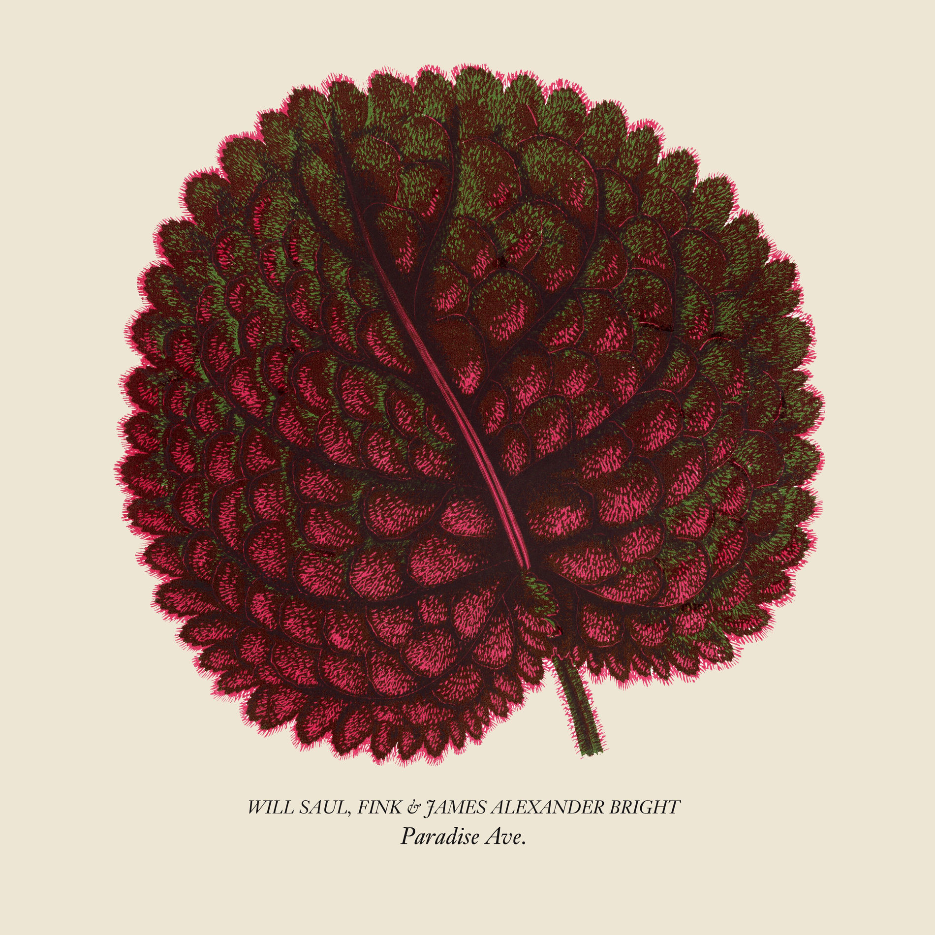 Album cover of Paradise Ave