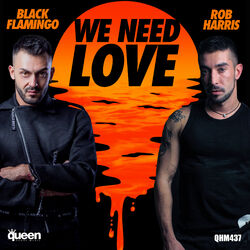 Cover of We Need Love