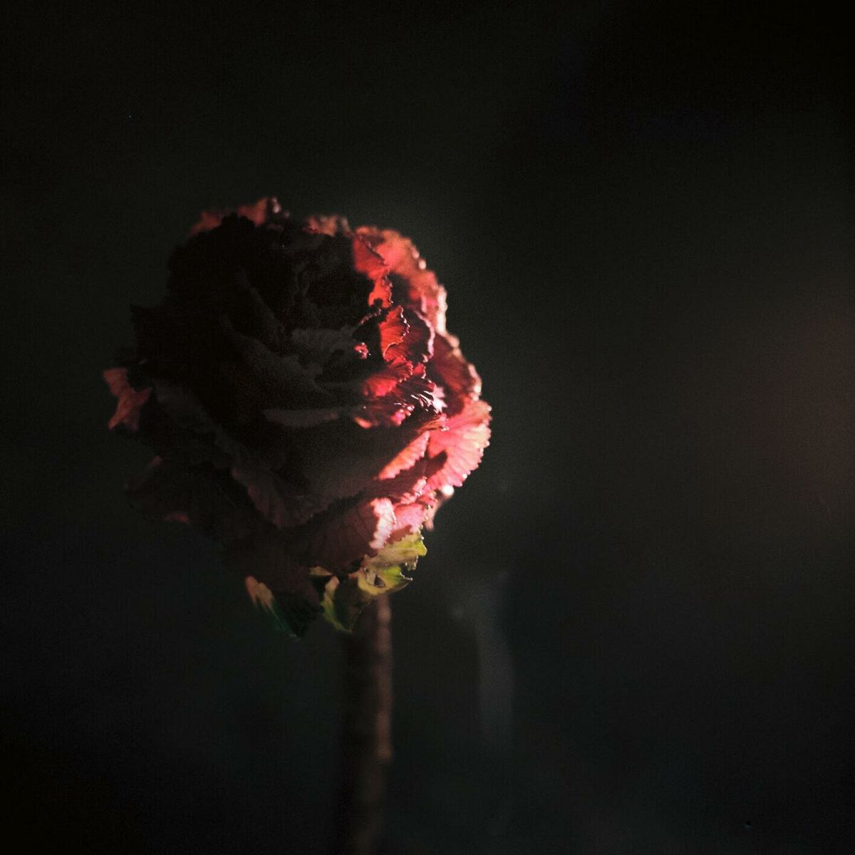 Album cover of Si Entras Tú