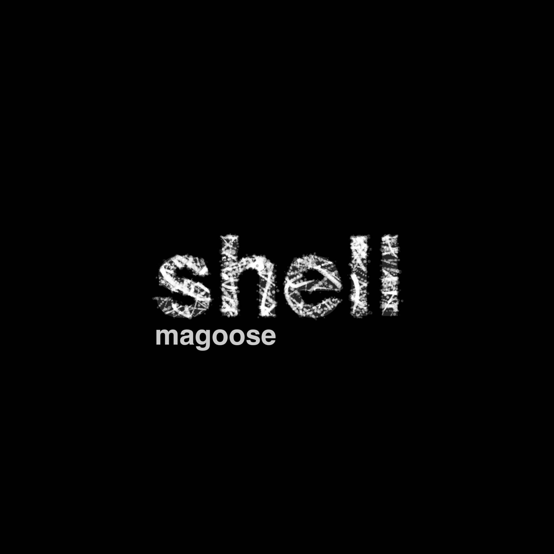 Album cover of shell