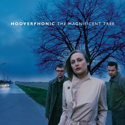 Cover of The Magnificent Tree