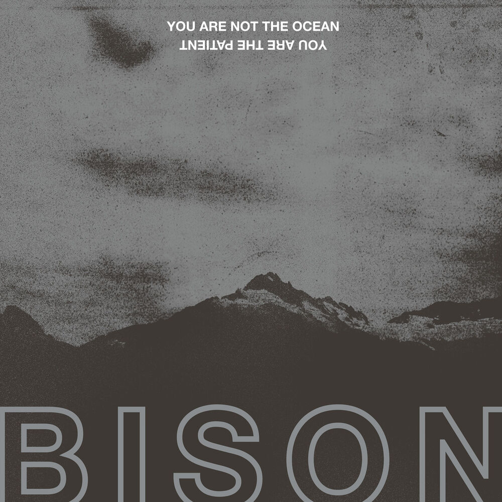Picture of You Are Not the Ocean You Are the Patient