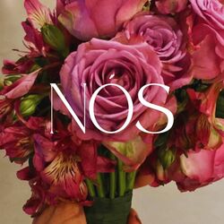 Cover of Nós