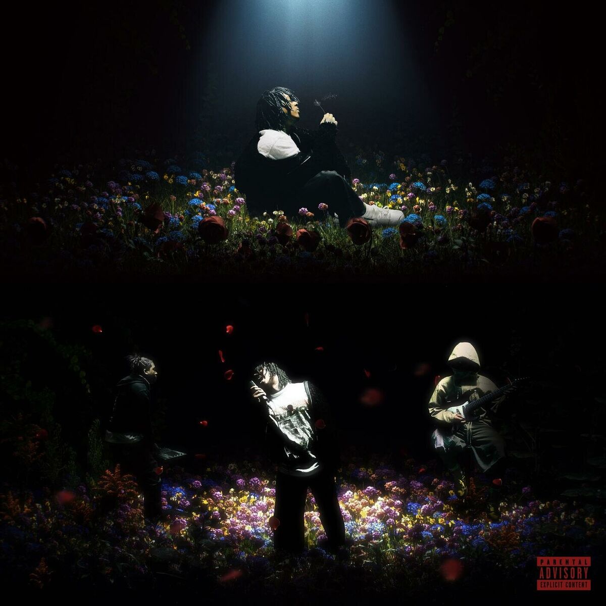 Album cover of Sincerely, Rex