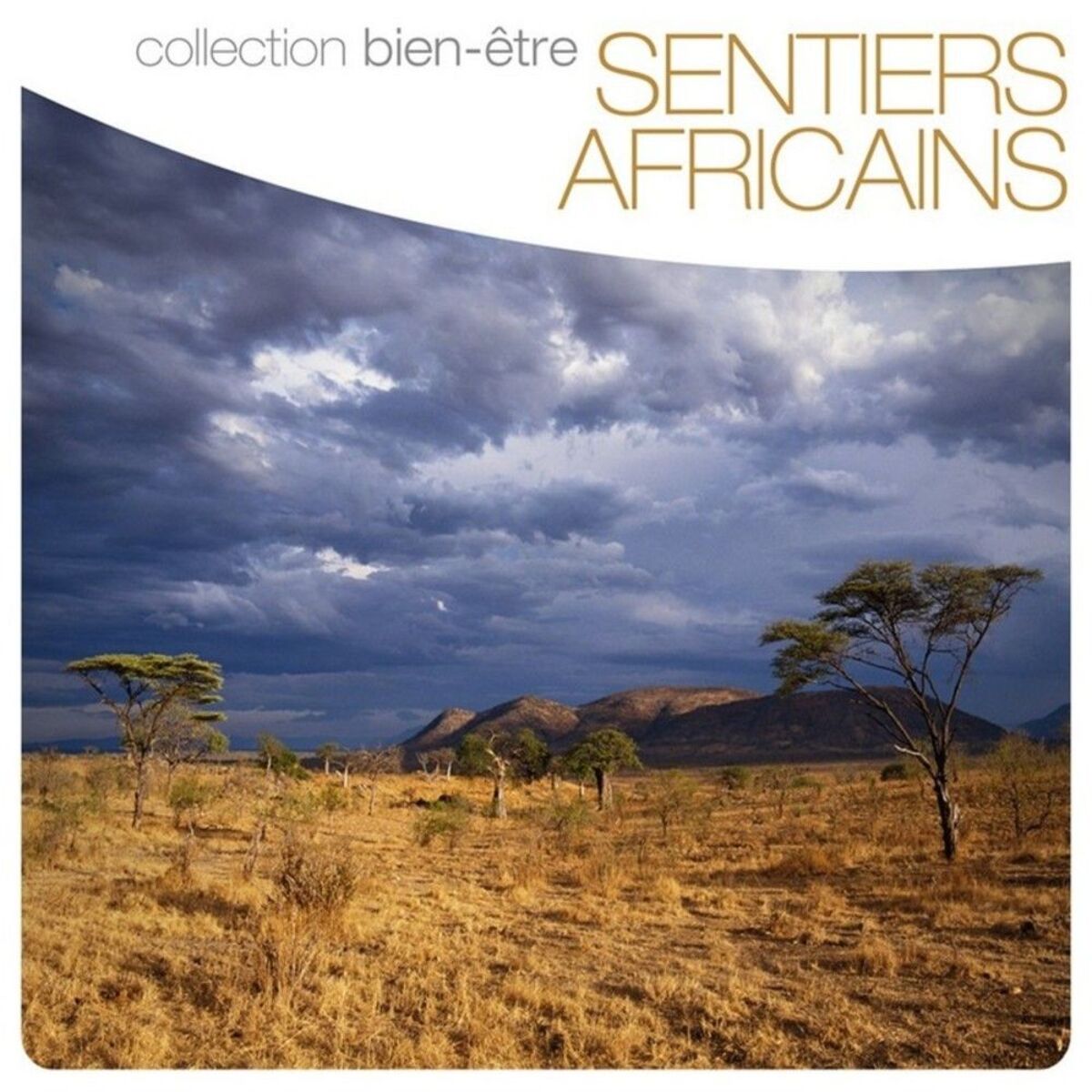 Album cover of Cap vers le Sud