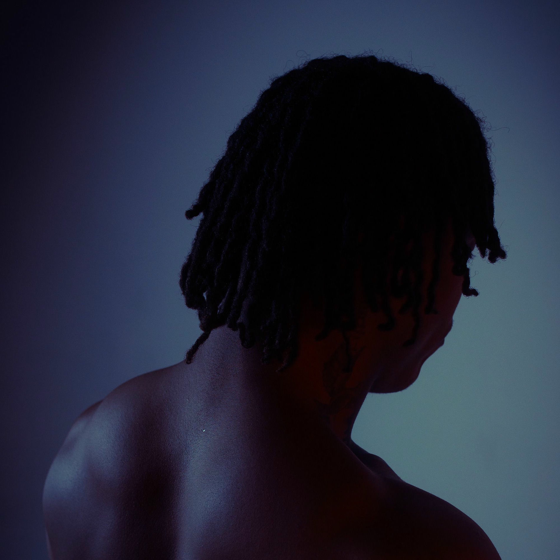 Album cover of Serenity