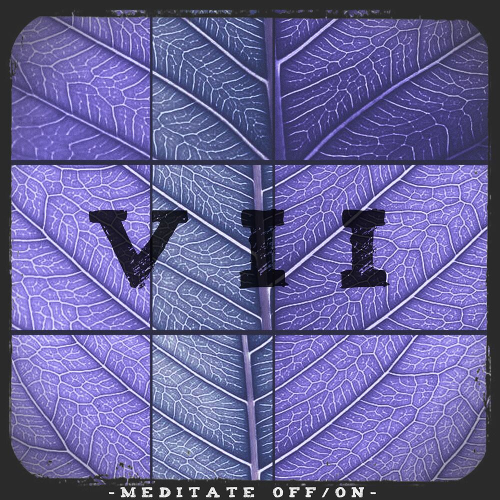 Picture of VII