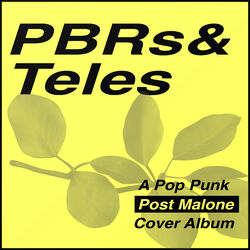 Cover of Pbrs and Teles