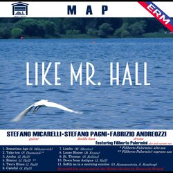 Cover of Like Mr Hall
