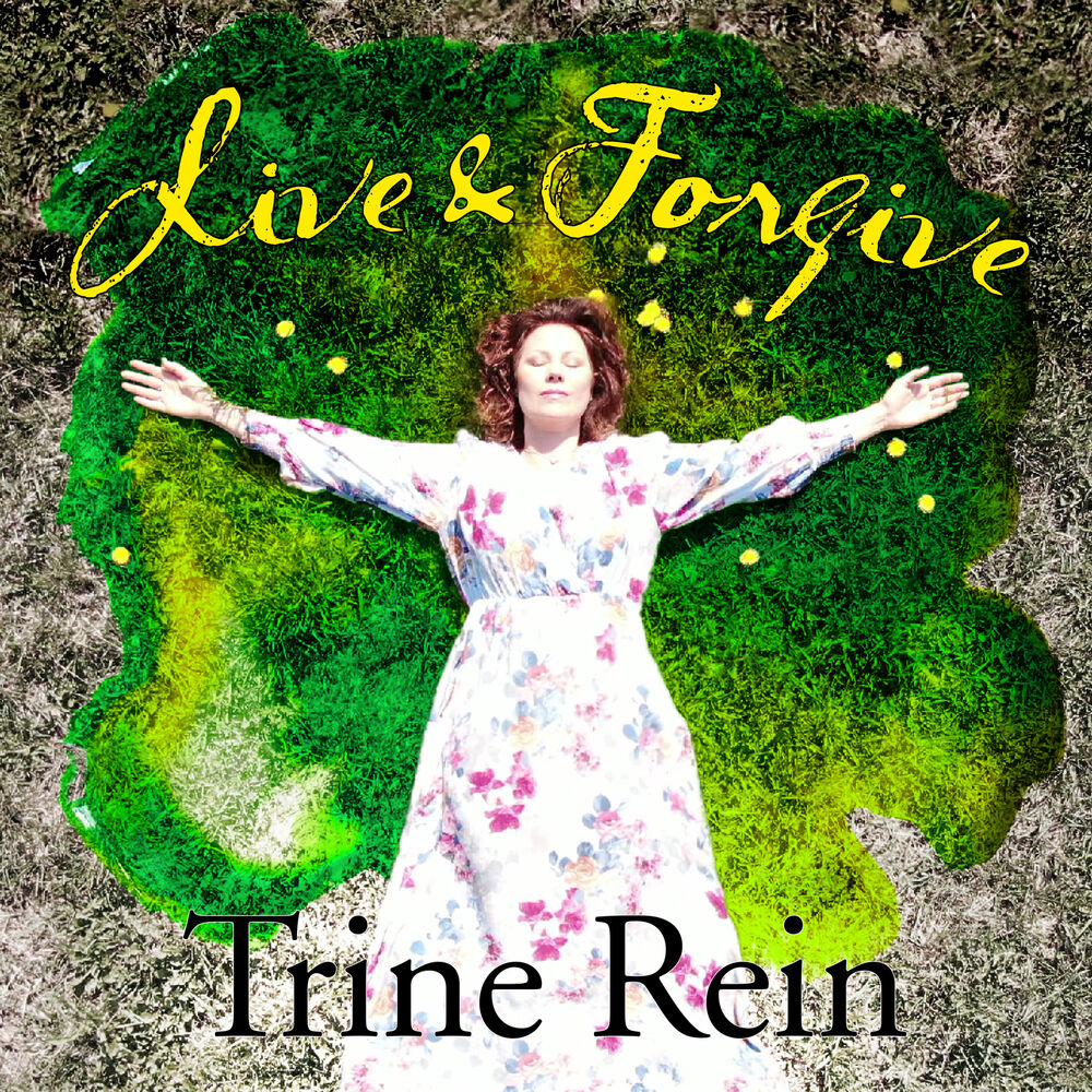 Picture of Live & Forgive