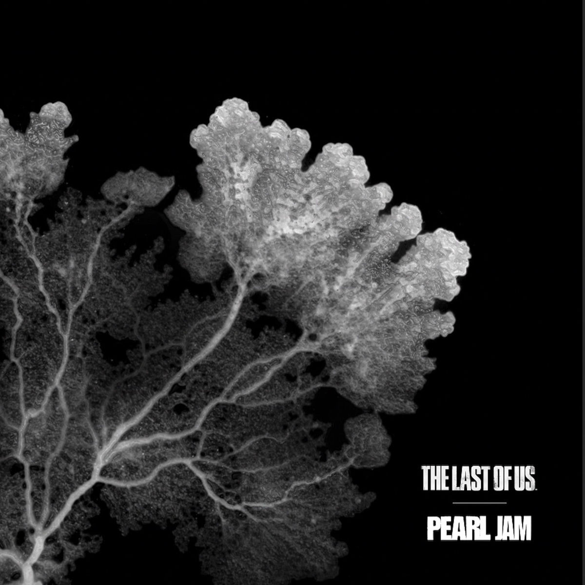 Album cover of The Last of Us