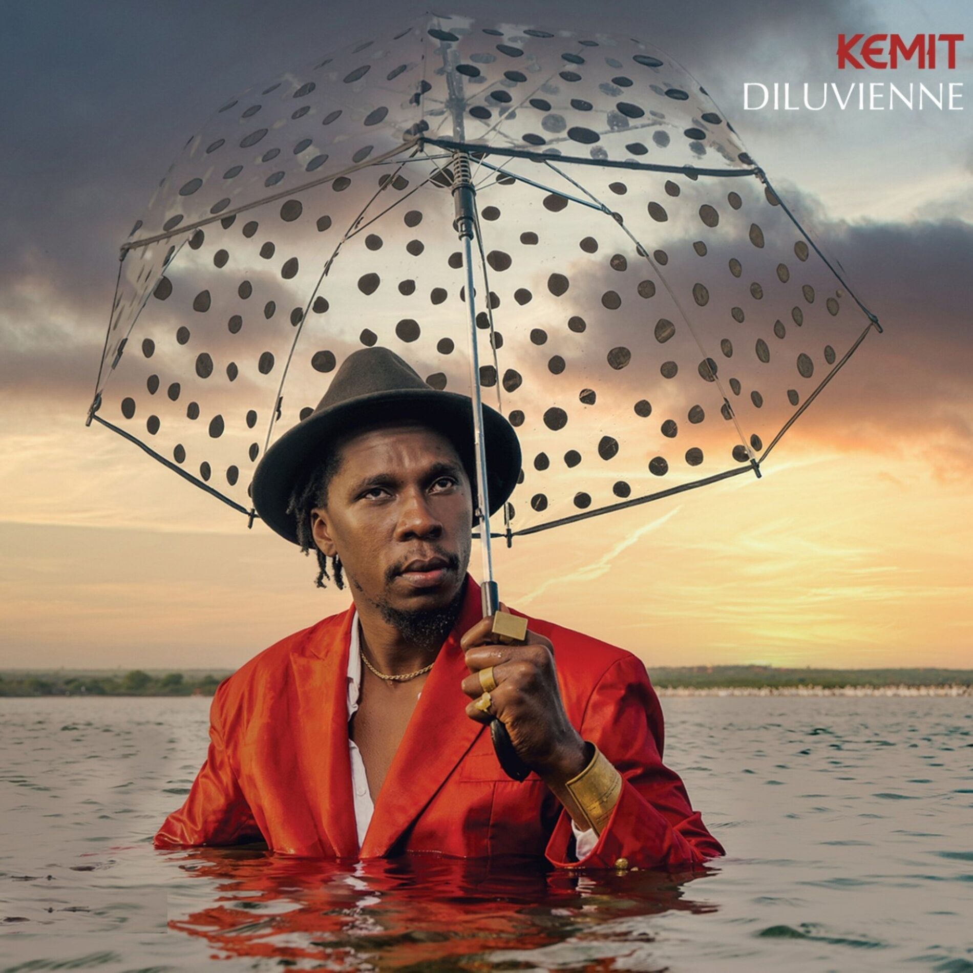 Album cover of Diluvienne