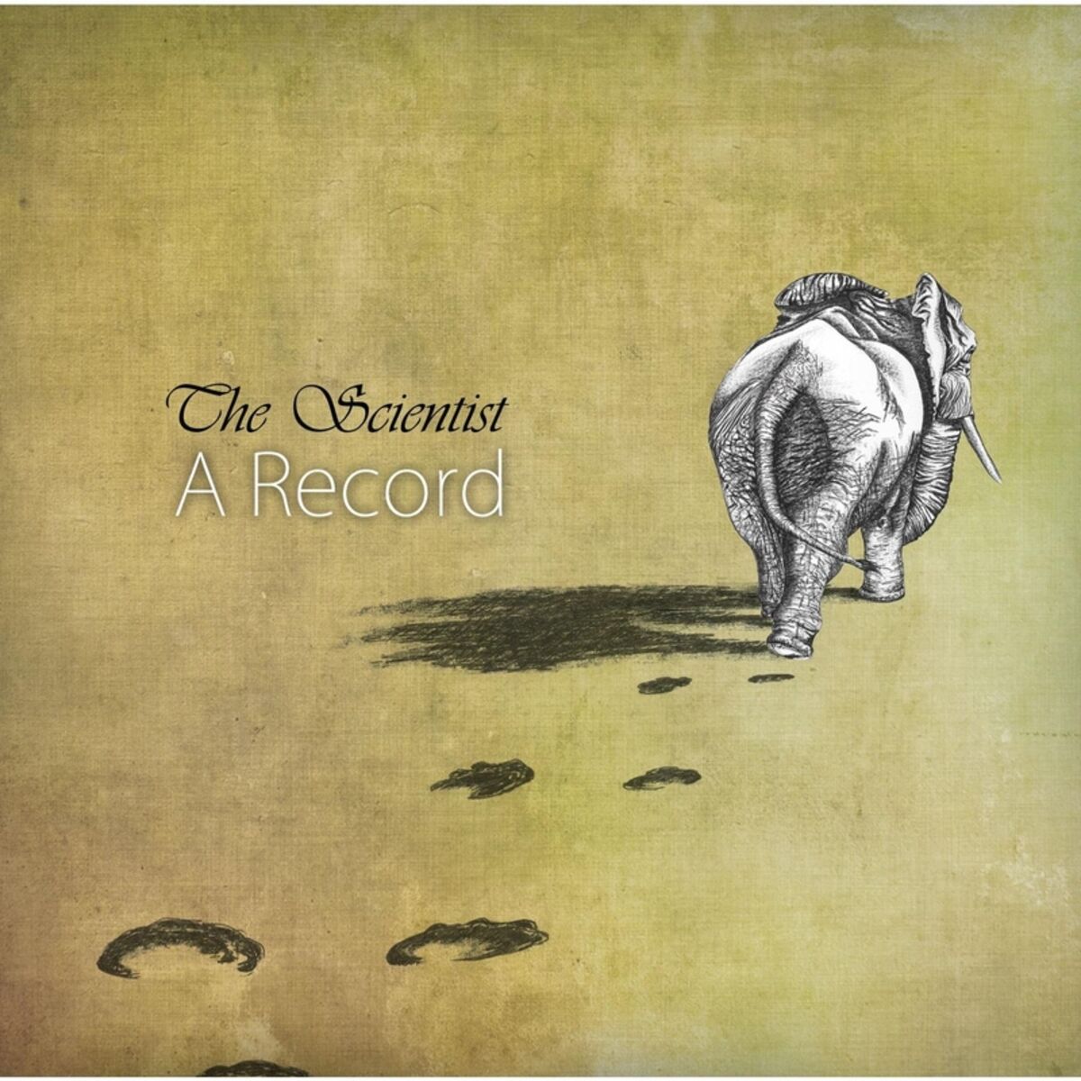 Album cover of A Record