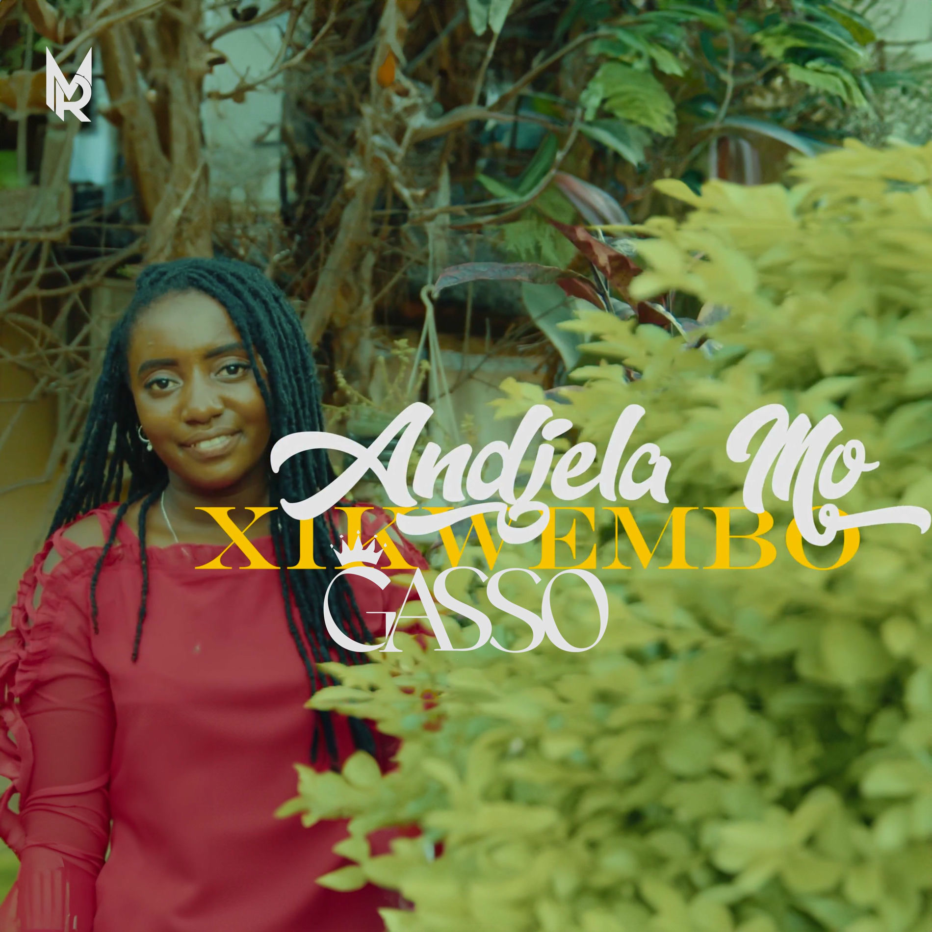 Album cover of Xikwembo